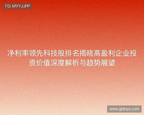 净利率领先科技股排名揭晓高盈利企业投资价值深度解析与趋势展望